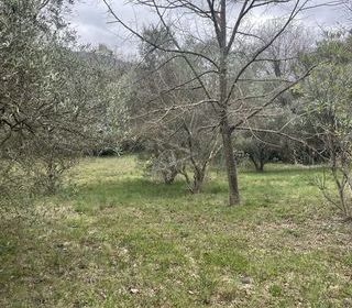  Terrain � vendre 880 m�