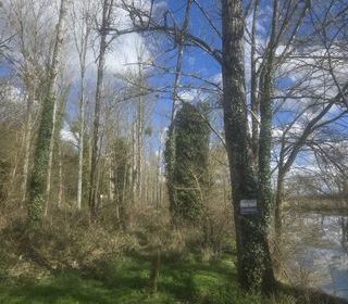  Terrain � vendre 4710 m�