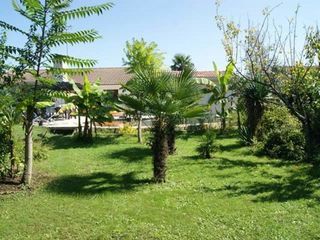  Appartement � louer 1 pi�ce 