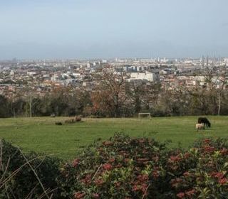  Appartement � louer 2 pi�ces 