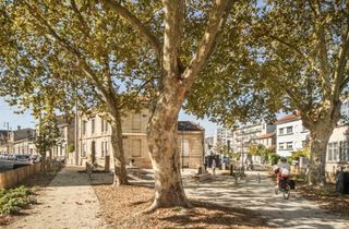  Appartement � louer 3 pi�ces 