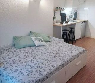  Appartement � louer 1 pi�ce 