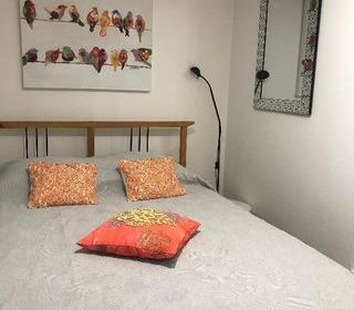  Appartement � louer 1 pi�ce 