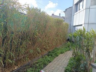  Appartement � louer 3 pi�ces  Bordeaux