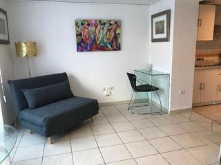  Appartement � louer 1 pi�ce 