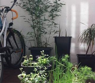  Appartement � louer 2 pi�ces 