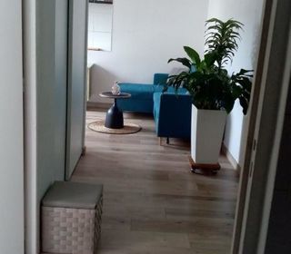  Appartement � louer 2 pi�ces 