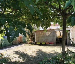  Appartement � louer 1 pi�ce 