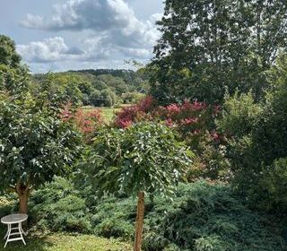  Appartement � louer 2 pi�ces 