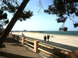  Appartement � louer 1 pi�ce 