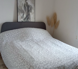  Appartement � louer 2 pi�ces 