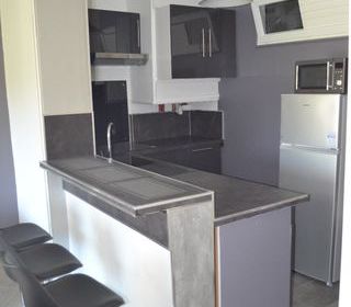  Appartement � louer 1 pi�ce 