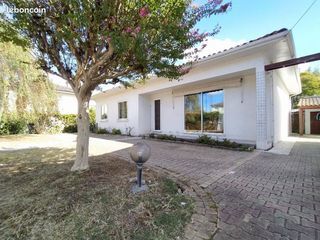  Appartement � louer 1 pi�ce 