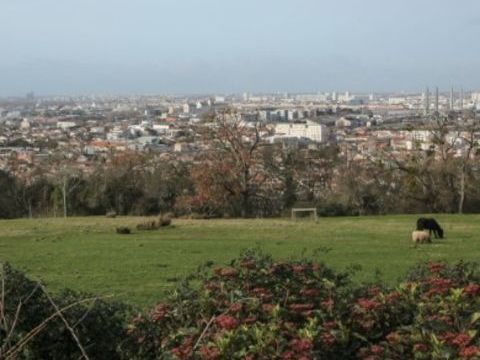   Appartement T2 Appartement - 2 pi�ce(s)