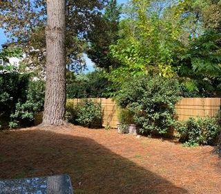  Appartement � louer 2 pi�ces 