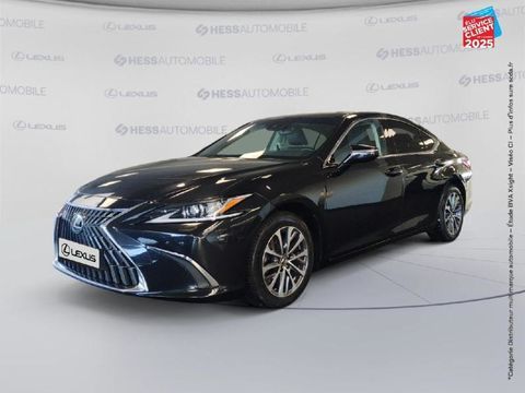 Lexus ES 300h Business MY25 2024 occasion Souffelweyersheim 67460