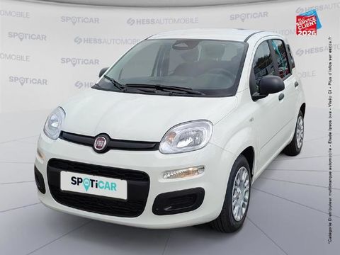 Fiat Panda Pandina 1.0 65ch BSG S&S Hybrid Ic&ocirc;ne 2026 occasion Belfort 90000