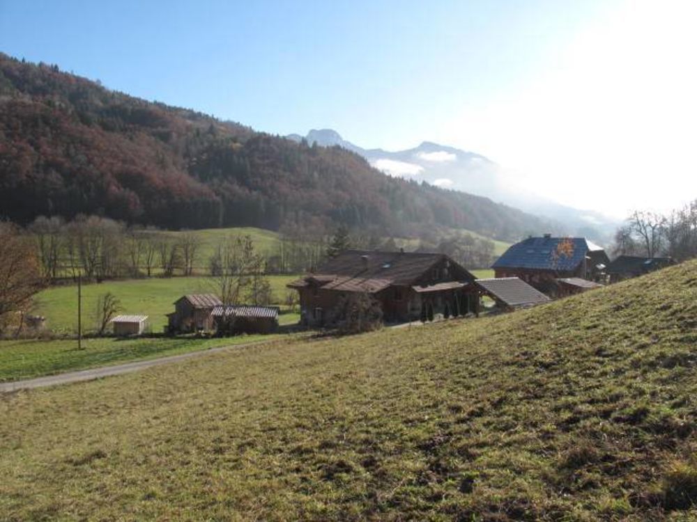 VALLEE VERTE IMMOBILIER (74) à vendre N2378_74174_137000