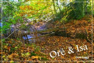  Terrain � vendre 49655 m�