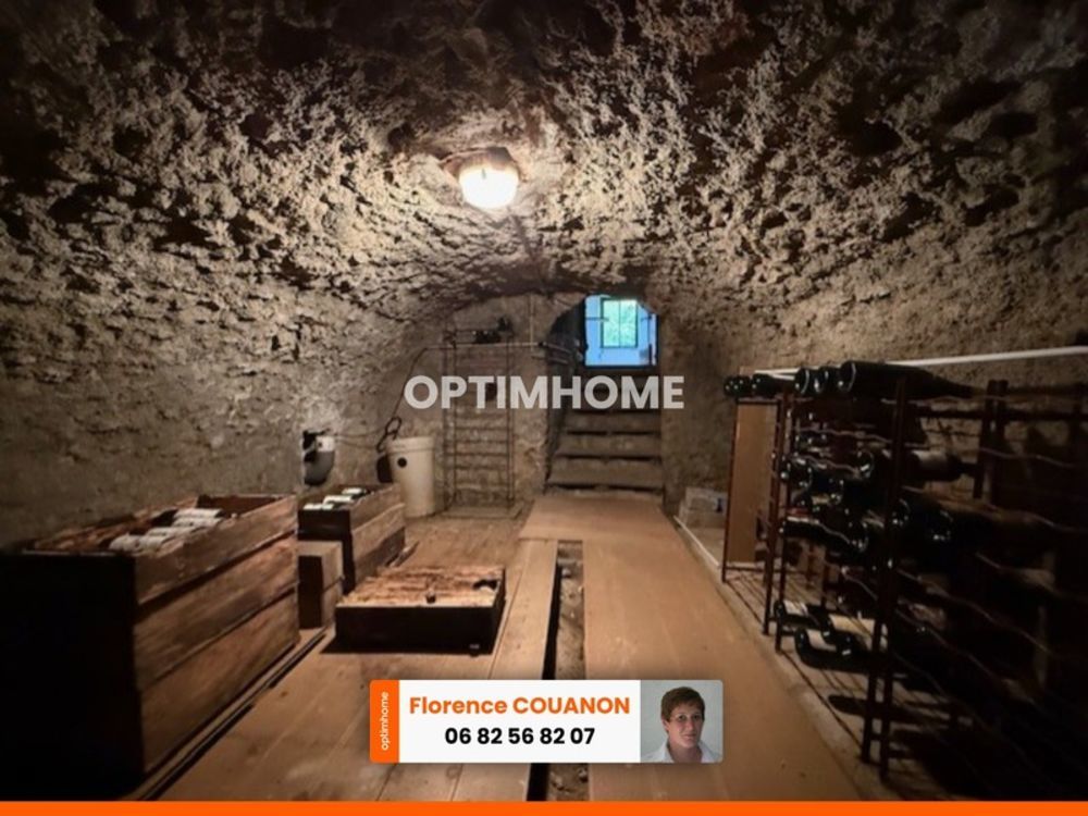 � vendre  Propri�t�/ch�teau Saint-Cyr-sous-Dourdan (91410)