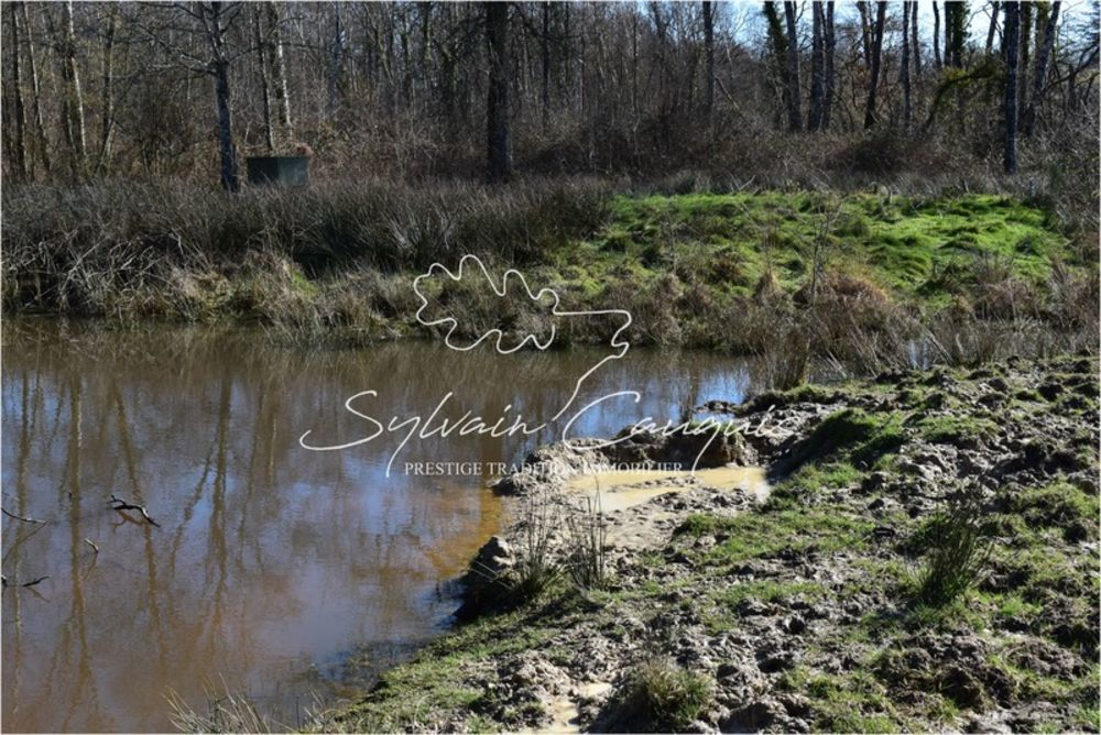 � vendre  Propri�t�/ch�teau Lamotte-Beuvron (41600)