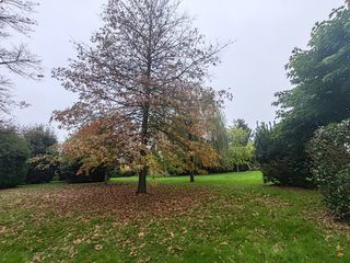  Propri�t�/ch�teau � vendre 12 pi�ces 334 m�