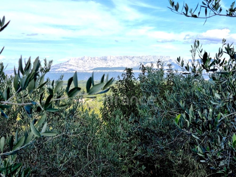 � vendre  Maison Mimet (13105)