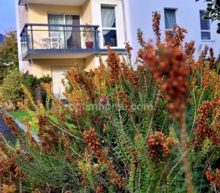  Appartement � vendre 3 pi�ces 66 m�