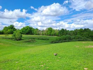  Propri�t�/ch�teau � vendre 12 pi�ces 323 m�