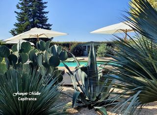  Propri�t�/ch�teau � vendre 12 pi�ces 467 m�