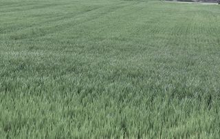  Terrain � vendre 25445 m�