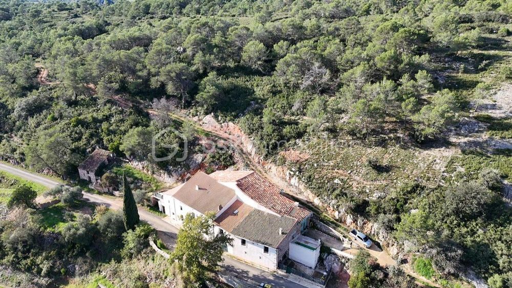 � vendre  Propri�t�/ch�teau Saint-Chinian (34360)