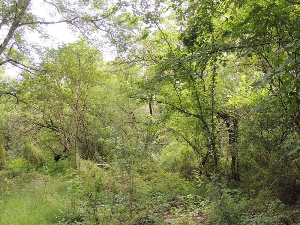 � vendre  Propri�t�/ch�teau Myennes (58440)