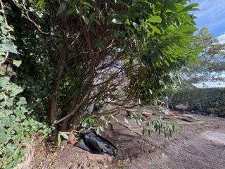  Maison � vendre 5 pi�ces 104 m�