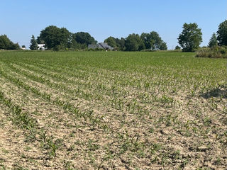  Terrain � vendre 9678 m�