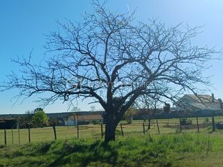  Terrain � vendre 1927 m�