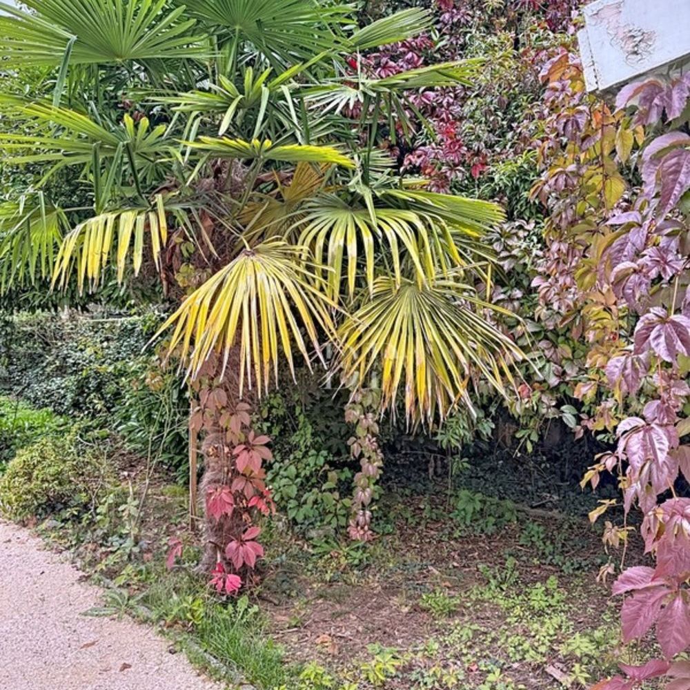 � vendre  Maison Gaillard (74240)