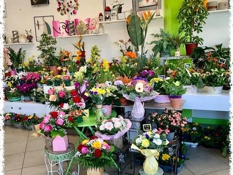 Fonds de commerce &agrave; vendre MEHUN SUR YEVRE (18) 84000 18500 Mehun sur yevre