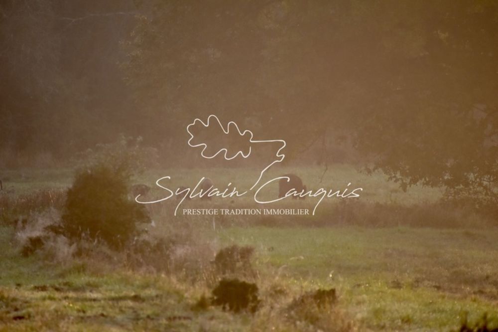 � vendre  Propri�t�/ch�teau Sennely (45240)