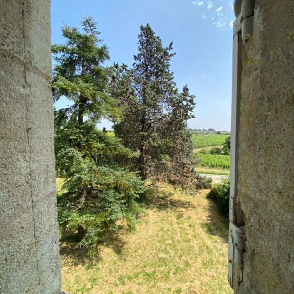 � vendre  Propri�t�/ch�teau Montagne (33570)