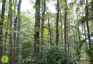  Terrain � vendre 3783 m�