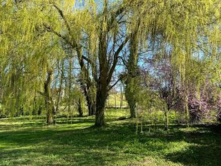  Maison � vendre 8 pi�ces 234 m�