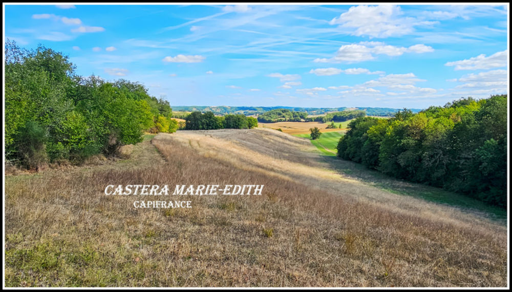 � vendre  Propri�t�/ch�teau Vic-Fezensac (32190)