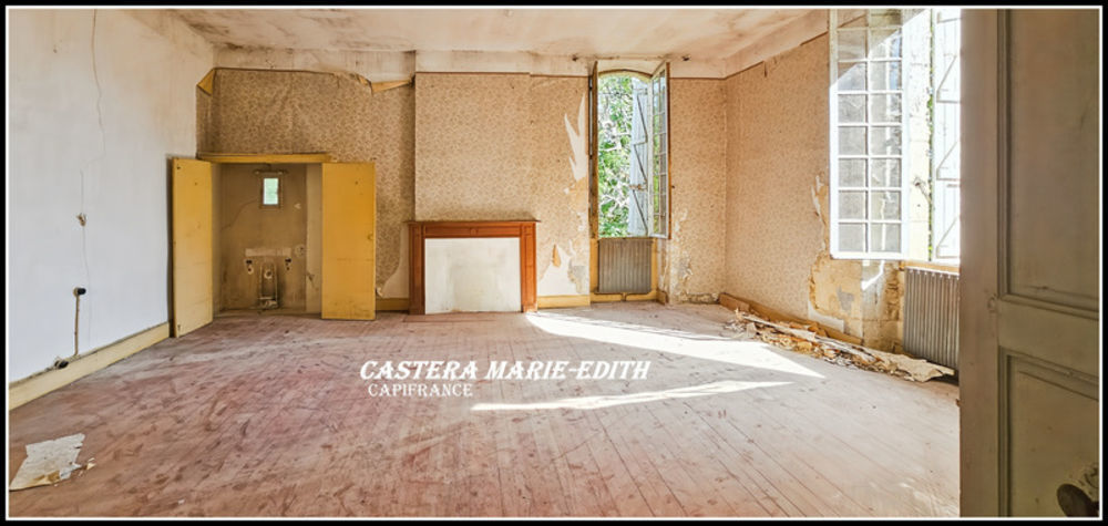 � vendre  Propri�t�/ch�teau Auch (32000)