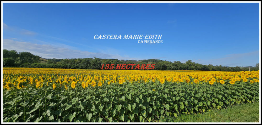 � vendre  Propri�t�/ch�teau Auch (32000)