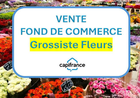 BASTIA : vente FDC GROSSISTE FLEURS ET PLANTES 900000 20620 Biguglia