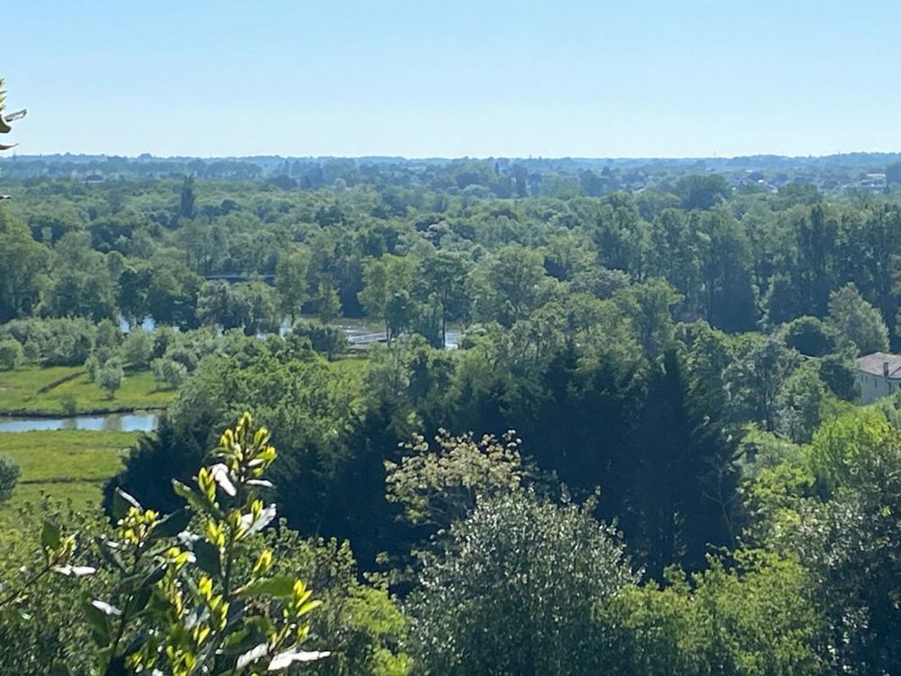 � vendre  Propri�t�/ch�teau Fronsac (33126)