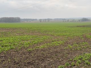  Terrain � vendre 926 m�