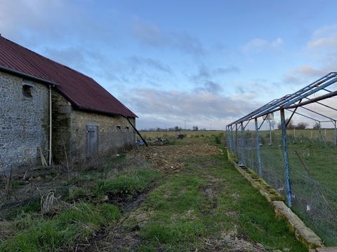   Maison Ancienne - Multiples Projets  (Saint Scolasse s/ Sarthe (61)  (Cultures - g�tes...)) Maison - 10 pi�ce(s) - 206 m�