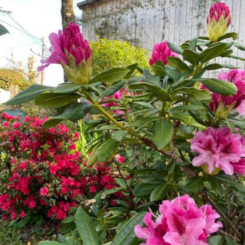 � vendre  Maison Vannes (56000)